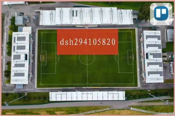 dsh294105820